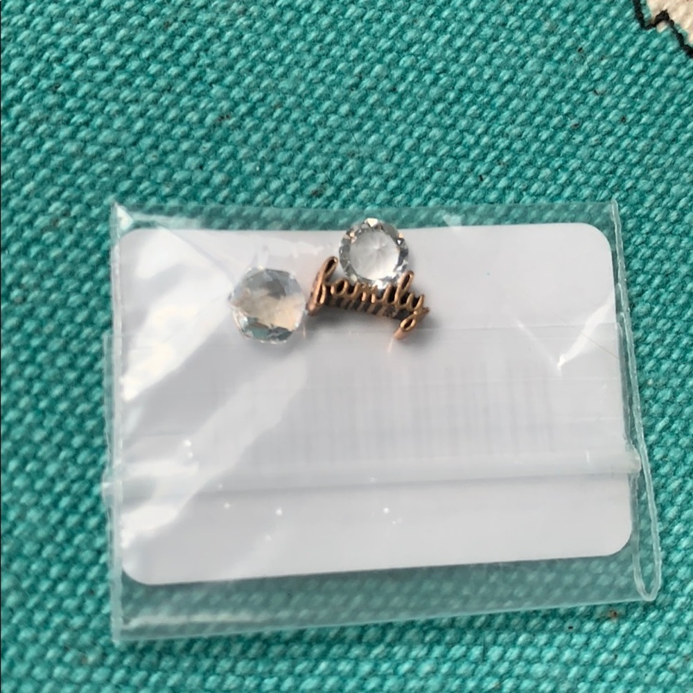 Set of three Origami Owl Charms family & Crystals
